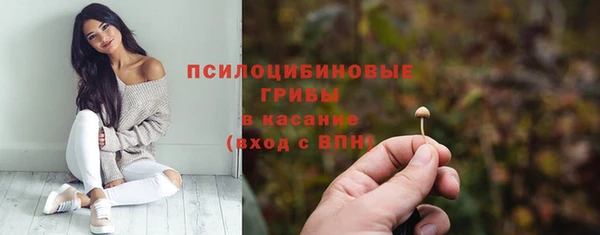 круглые Сосновоборск
